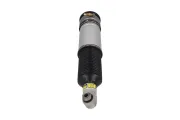 Luftfederbein Hinterachse links KAMOKA 2070100