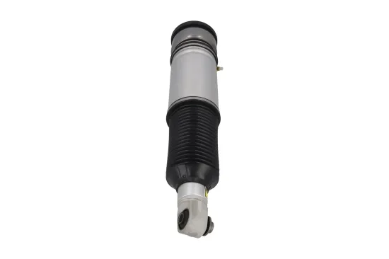 Luftfederbein Hinterachse links KAMOKA 2070100 Bild Luftfederbein Hinterachse links KAMOKA 2070100