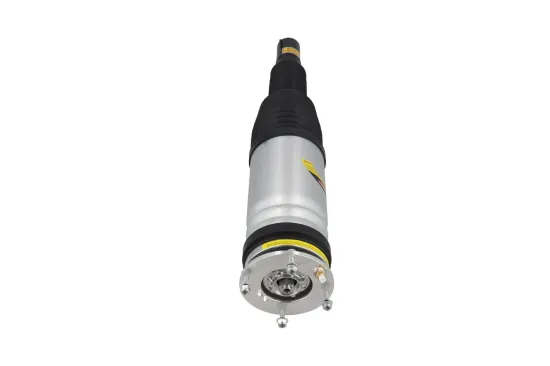 Luftfederbein vorne KAMOKA 2070118 Bild Luftfederbein vorne KAMOKA 2070118
