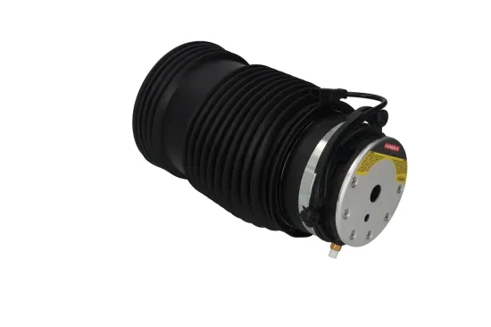 Luftfeder, Fahrwerk hinten rechts KAMOKA 2079050 Bild Luftfeder, Fahrwerk hinten rechts KAMOKA 2079050