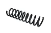 Fahrwerksfeder Hinterachse KAMOKA 2120316 Bild Fahrwerksfeder Hinterachse KAMOKA 2120316