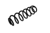 Fahrwerksfeder Hinterachse KAMOKA 2120349 Bild Fahrwerksfeder Hinterachse KAMOKA 2120349