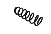 Fahrwerksfeder Hinterachse KAMOKA 2120367
