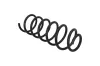 Fahrwerksfeder Hinterachse KAMOKA 2120386 Bild Fahrwerksfeder Hinterachse KAMOKA 2120386