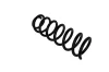 Fahrwerksfeder Hinterachse KAMOKA 2120389