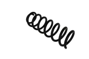 Fahrwerksfeder Hinterachse KAMOKA 2120389