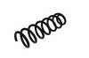 Fahrwerksfeder Hinterachse KAMOKA 2120389 Bild Fahrwerksfeder Hinterachse KAMOKA 2120389