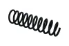 Fahrwerksfeder Hinterachse KAMOKA 2120469 Bild Fahrwerksfeder Hinterachse KAMOKA 2120469