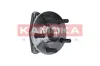 Radlagersatz Vorderachse KAMOKA 5500055 Bild Radlagersatz Vorderachse KAMOKA 5500055