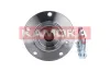 Radlagersatz Vorderachse KAMOKA 5500070