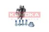 Radlagersatz Vorderachse KAMOKA 5500151 Bild Radlagersatz Vorderachse KAMOKA 5500151