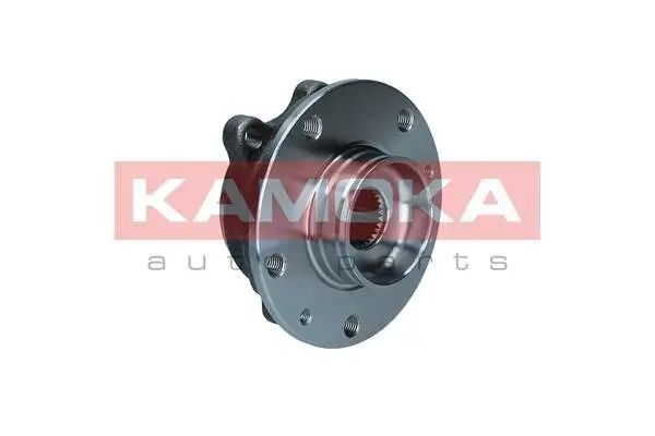 Radlagersatz KAMOKA 5500324