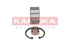 Radlagersatz Vorderachse KAMOKA 5600020 Bild Radlagersatz Vorderachse KAMOKA 5600020