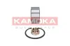 Radlagersatz Vorderachse KAMOKA 5600036 Bild Radlagersatz Vorderachse KAMOKA 5600036