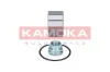 Radlagersatz Vorderachse KAMOKA 5600044 Bild Radlagersatz Vorderachse KAMOKA 5600044