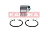 Radlagersatz Vorderachse KAMOKA 5600047 Bild Radlagersatz Vorderachse KAMOKA 5600047