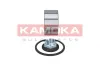 Radlagersatz Vorderachse KAMOKA 5600059 Bild Radlagersatz Vorderachse KAMOKA 5600059