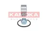 Radlagersatz Vorderachse KAMOKA 5600094 Bild Radlagersatz Vorderachse KAMOKA 5600094