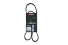 Keilrippenriemen KAMOKA 7015035
