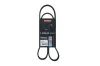 Keilrippenriemen KAMOKA 7015038