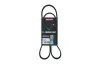Keilrippenriemen KAMOKA 7015041