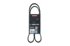 Keilrippenriemen KAMOKA 7015048