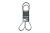 Keilrippenriemen KAMOKA 7015069