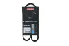 Keilrippenriemen KAMOKA 7016010