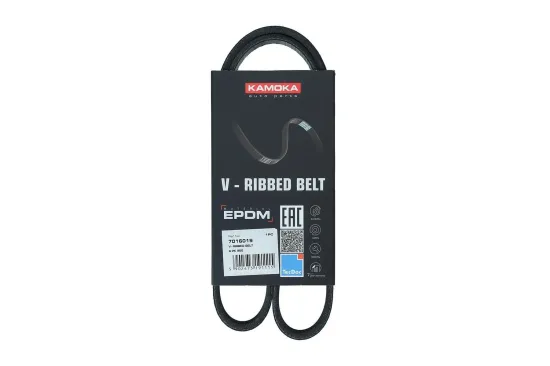 Keilrippenriemen KAMOKA 7016019 Bild Keilrippenriemen KAMOKA 7016019