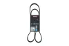 Keilrippenriemen KAMOKA 7016106