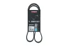 Keilrippenriemen KAMOKA 7017004