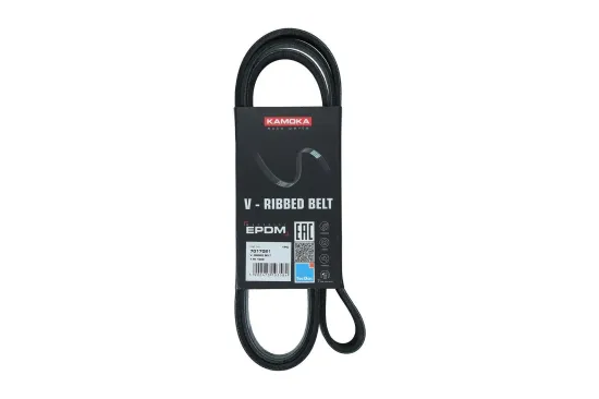Keilrippenriemen KAMOKA 7017021 Bild Keilrippenriemen KAMOKA 7017021