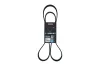 Keilrippenriemen KAMOKA 7018003