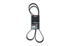 Keilrippenriemen KAMOKA 7018004