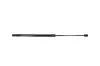 Gasfeder, Motorhaube KAMOKA 7091119 Bild Gasfeder, Motorhaube KAMOKA 7091119