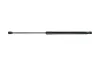 Gasfeder, Koffer-/Laderaum KAMOKA 7092615