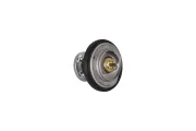 Thermostat, Kühlmittel KAMOKA 7710068
