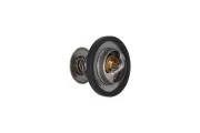 Thermostat, Kühlmittel KAMOKA 7710069