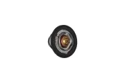 Thermostat, Kühlmittel KAMOKA 7710091
