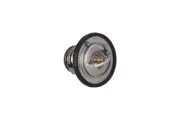 Thermostat, Kühlmittel KAMOKA 7710092