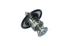 Thermostat, Kühlmittel KAMOKA 7710148 Bild Thermostat, Kühlmittel KAMOKA 7710148