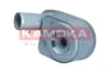 Ölkühler, Motoröl KAMOKA 7730114 Bild Ölkühler, Motoröl KAMOKA 7730114