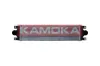 Kraftstoff-Fördereinheit KAMOKA 8400036 Bild Kraftstoff-Fördereinheit KAMOKA 8400036