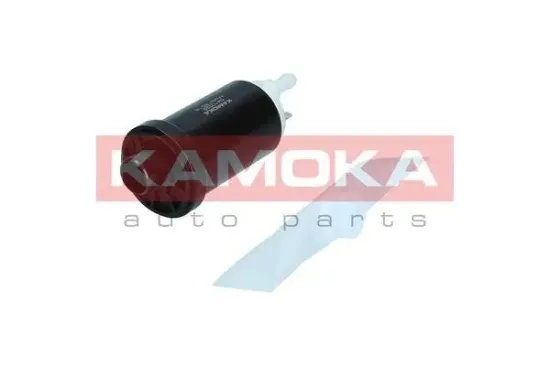 Kraftstoffpumpe KAMOKA 8410029 Bild Kraftstoffpumpe KAMOKA 8410029