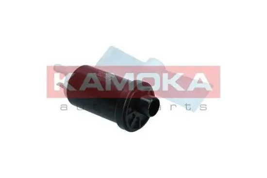 Kraftstoffpumpe KAMOKA 8410029 Bild Kraftstoffpumpe KAMOKA 8410029