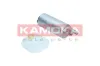 Kraftstoffpumpe KAMOKA 8410030 Bild Kraftstoffpumpe KAMOKA 8410030
