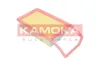 Luftfilter KAMOKA F244301 Bild Luftfilter KAMOKA F244301