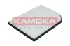 Filter, Innenraumluft KAMOKA F407801 Bild Filter, Innenraumluft KAMOKA F407801