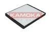 Filter, Innenraumluft KAMOKA F411001 Bild Filter, Innenraumluft KAMOKA F411001