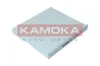 Filter, Innenraumluft KAMOKA F418501 Bild Filter, Innenraumluft KAMOKA F418501